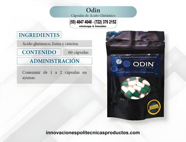 Odin (Acido Glutamico) 60 Capsulas